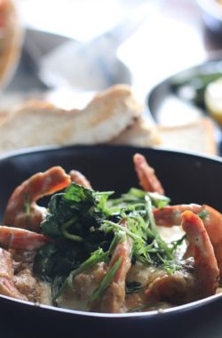 38801557_1912889905437432_4285388771605610496_o