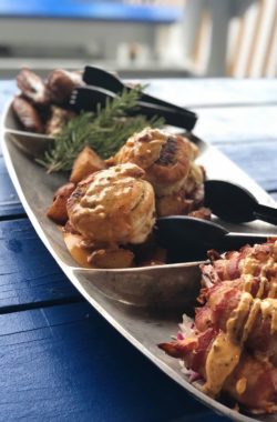 39821234_2058462077785564_7126743065087180800_o