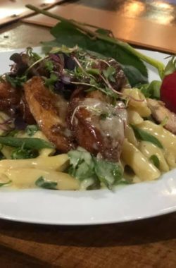 51977543_2213078972085189_3399111506887966720_n