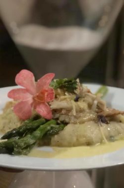 52120311_2213078925418527_5906148762979401728_n